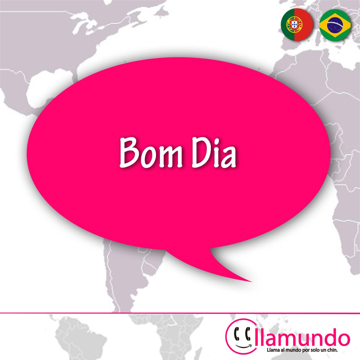llamundo tweet picture