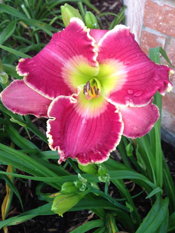 Christine Fuge tweet media