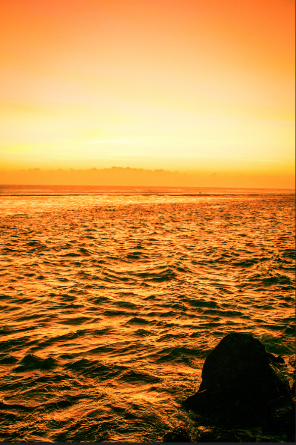 LadiLafeFR's tweet photo. Romantique
Éblouissant
Unique
Nostalgique
Insaisissable
Océan Indien
Nature
#Sunset974 #LaRéunion
©STHPhotography http://t.co/61gHJgC6sF