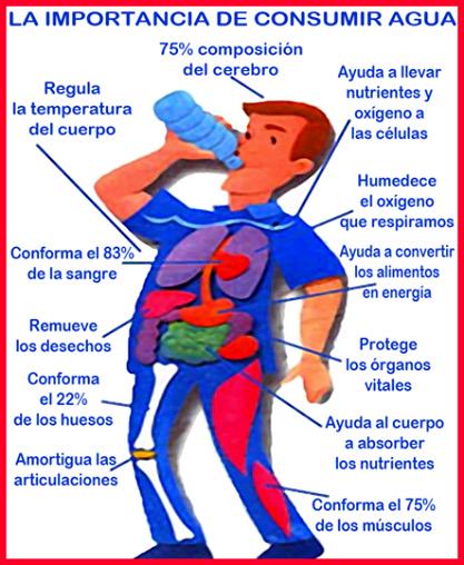 ejercitatecolom's tweet photo. El agua es la parte mas importante http://t.co/U9J4eEu8R5