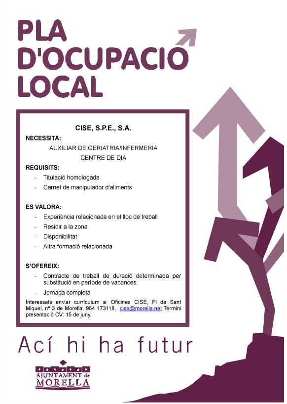 Pla d'Ocupació Local: Oferta per al Centre de Dia