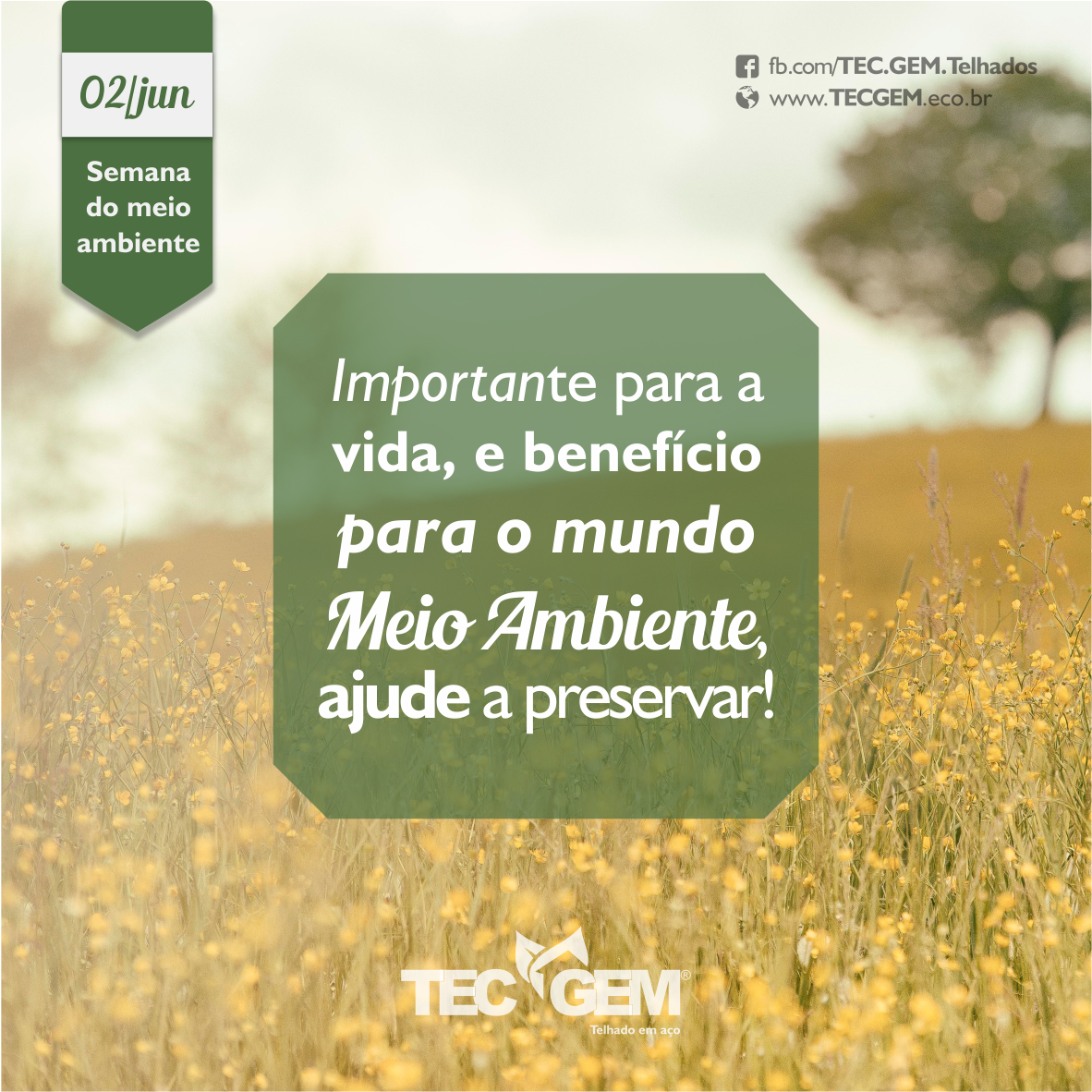 Tec Gem (@tecgemtelhados) / Posts / X