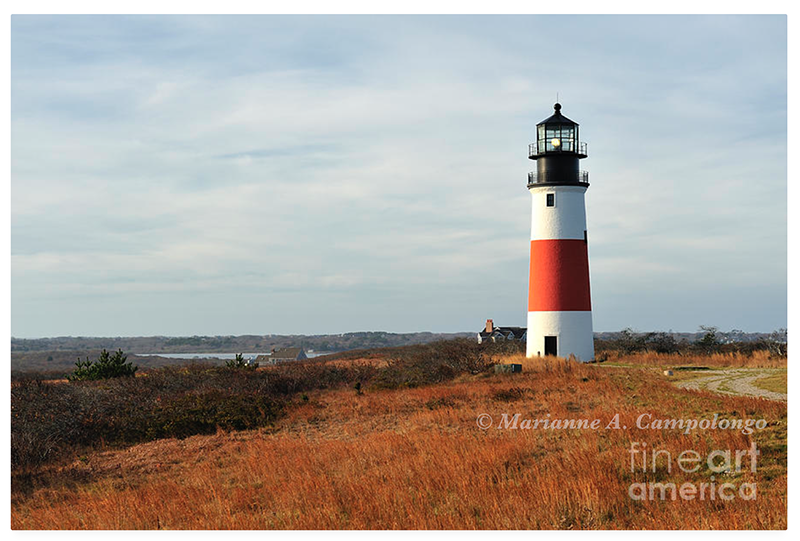 campyphotos's tweet photo. Love my followers pls help me w/ a #retweet contest http://t.co/nwftPg0yiY #fc20 #faa29796X U could win a screensaver http://t.co/RQWvpf9sd1