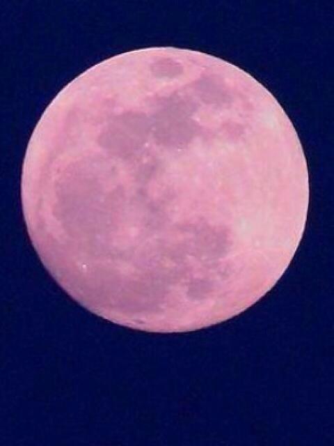 SSumeto's tweet image. หลาก หลาย ลีลา มายา อารมณ์