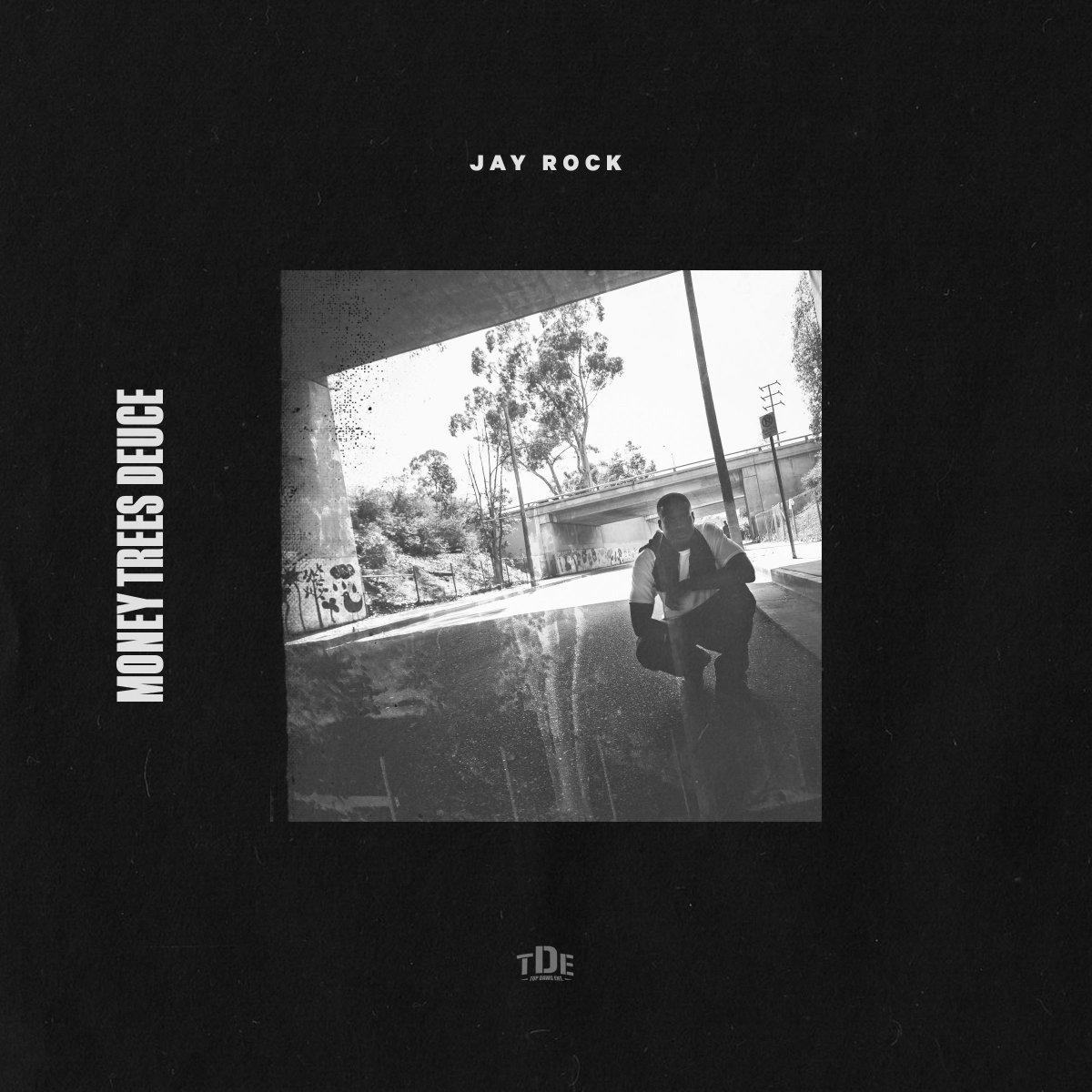 dangerookipawaa's tweet photo. yall been on my head for this new @jayrock here ya go https://t.co/mI85Mrwqho #MoneyTreesDeuce #TDE http://t.co/O1q1nLjxlc
