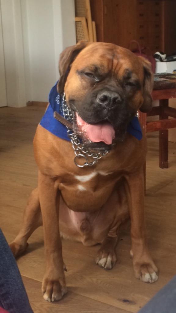 Geoffrey Skywalker © (@geoffreyskywalk) on Twitter photo 