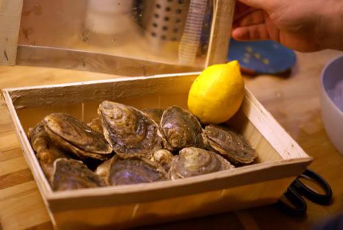 We just got our fresh oysters in, malpeques are looking very tasty.