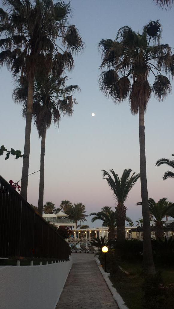 Nutta88's tweet image. Ready for home #myownbed #noplacelikehome #Cyprus2015 #GoodTimes