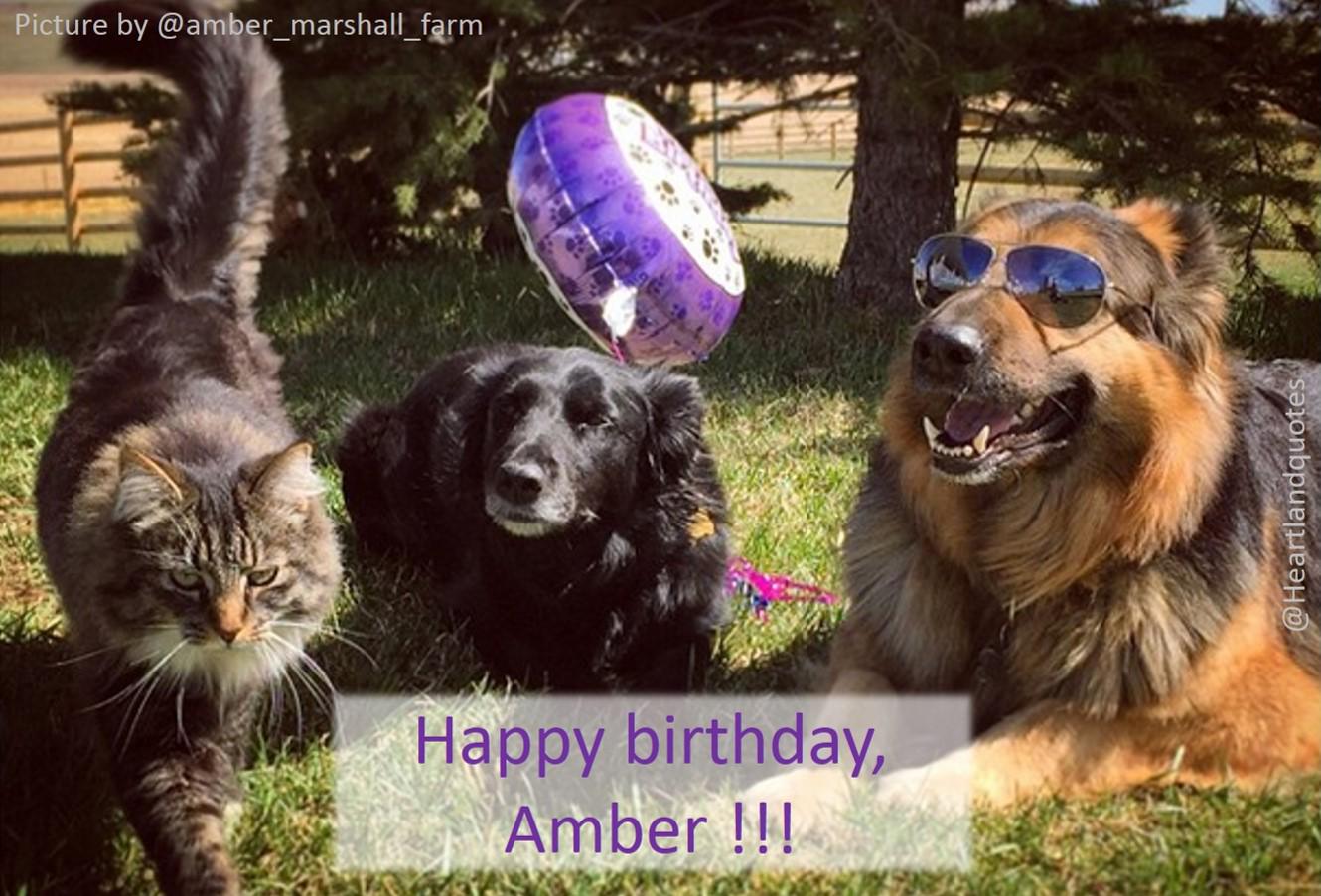 Happy birthday, !!!
Enjoy your day! :) 