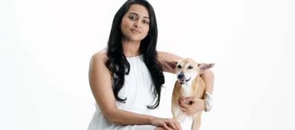 \"Happy Birthday Sonakshi Sinha\", here is all u wud love to knw abt birthday girl, 