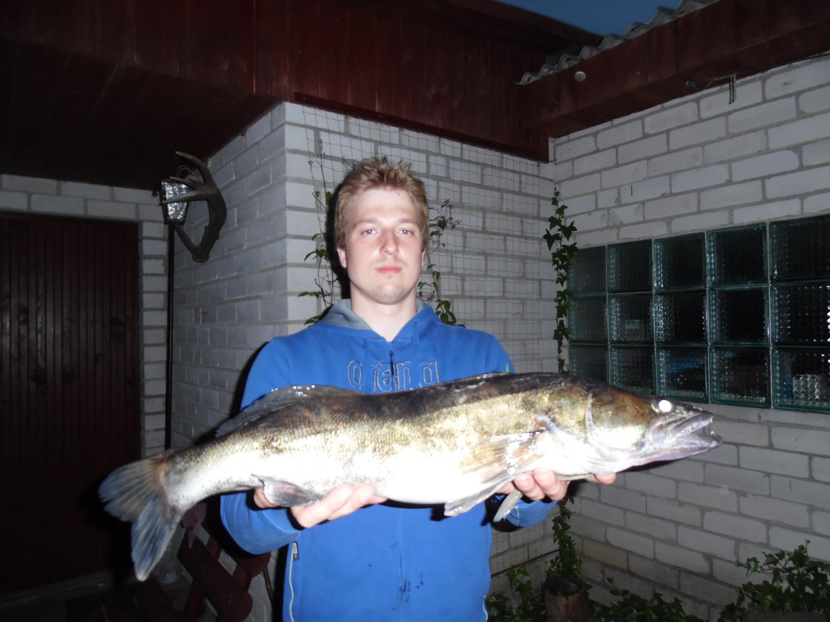 sm_janis's tweet photo. 3 kg zandarts :) http://t.co/sj5p0LYG1e
