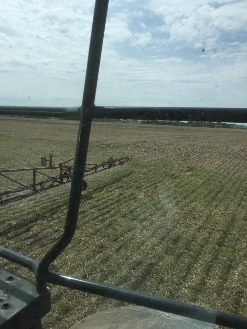 duncanbrad's tweet image. Killing flee beetles, and grasses, hoping for a miracle!#decis#centurion#frosthurts