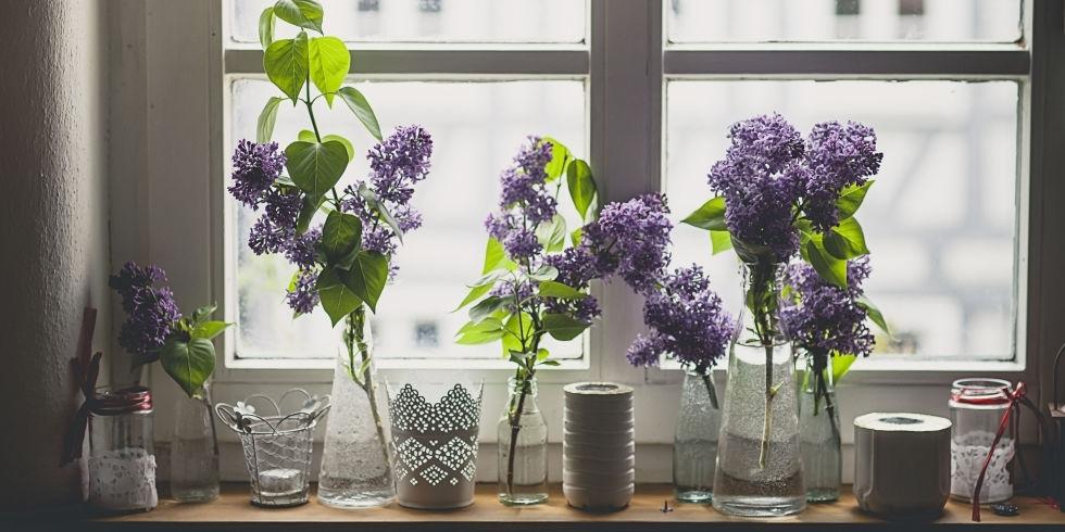 7 Ways to Make Your Home Smell Amazing bit.ly/1QnnA0X