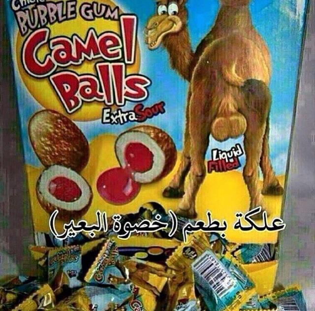 noof_sx's tweet photo. هههههههههه#⬇⬇🌟
😂😂 http://t.co/8v9q2xU6r1