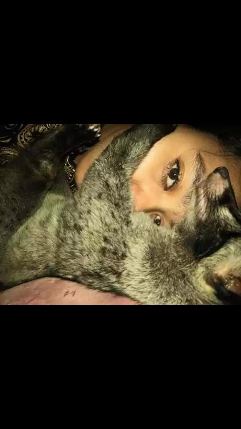 Mau dong jd musang :D <a href="/Musangbekasi/">ZOMBIE'S (Zona Owner Musang Bekasi dan Sekitarnya)</a> <a href="/MuldokDepok/">MusangLoverDepok</a> <a href="/_MusangBogor/">Bogor Musang Lovers</a> <a href="/MBC_Musang/">Musang Bandung</a> <a href="/MLI_Malang/">Musang Lovers Malang</a> <a href="/MusangSukabumi/">MULSI</a>