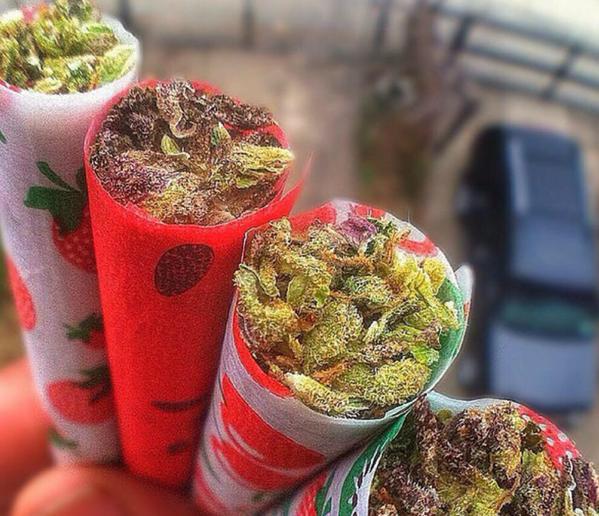 TightlyRolled's tweet photo. Mom always said, eat your fruit! http://t.co/t33mM6ZULj