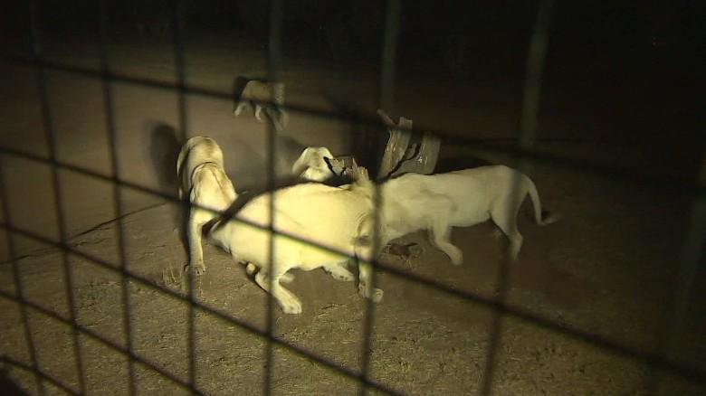 Anderson Cooper 360° tweet media