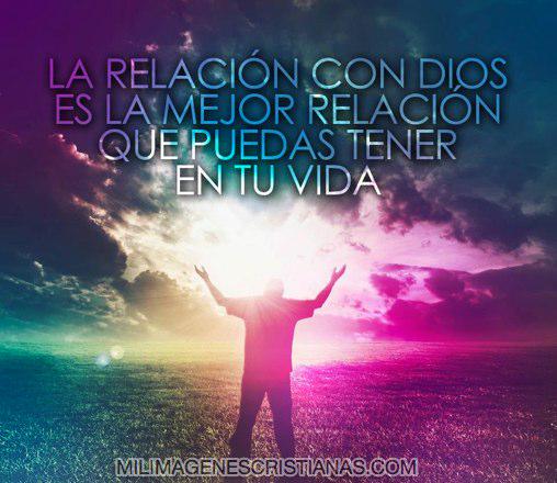 °Rosa D´Fº tweet media
