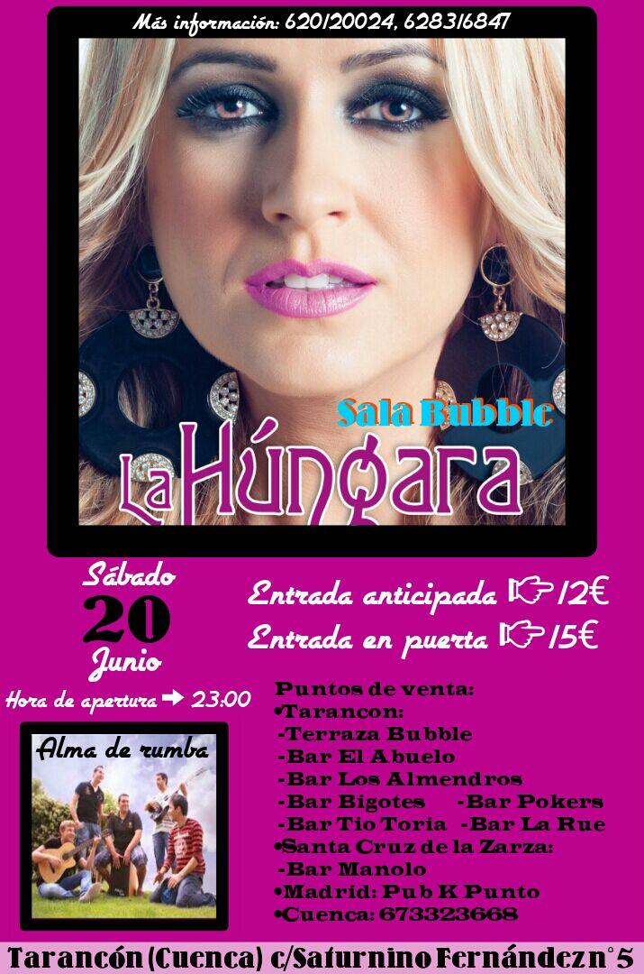Discoteca Bubble tweet media