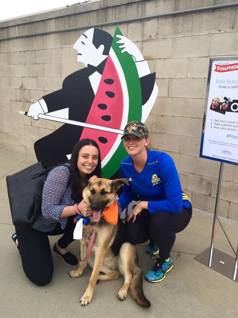 Laura Casto On Twitter Hey Melonious We Found You Wvso Wv Power Melonious Barkinthepark Rileydog Http T Co Qh2c5ac7ec Find more ways to say melodious, along with related words, antonyms and example phrases at thesaurus.com, the world's most trusted free thesaurus. twitter