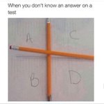 Photo by Common Core Geometry (@CCGeometry15)