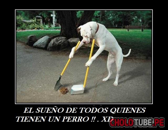 CholoTubePorn's tweet photo. UN POCO DE HUMOR XD http://t.co/VaCSjndEsq