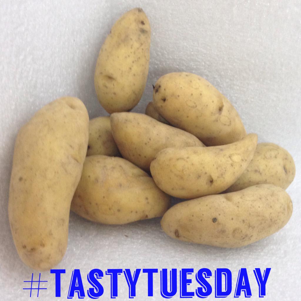 This #TastyTuesday we bring you the #YukonGoldPotatoe! #NomNom