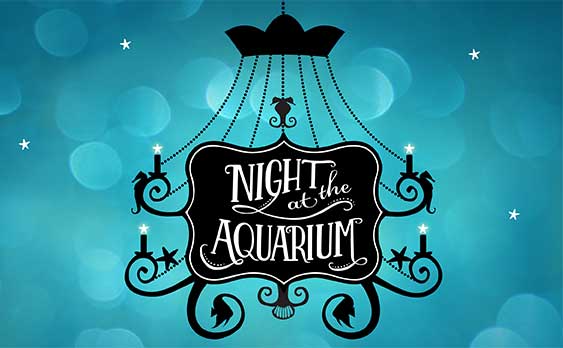 Vancouver Aquarium tweet media