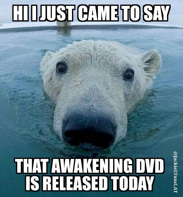 nhakyrapy's tweet photo. Get your copy now!
#JackieEvancho @jackieevancho #AwakeningLiveInConcert DVD
http://t.co/mWqW5G4FAn
#Awakening #DVD http://t.co/yi80x7LXmk