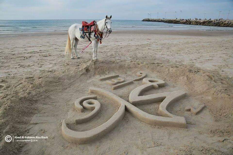 savehuman77's tweet image. 