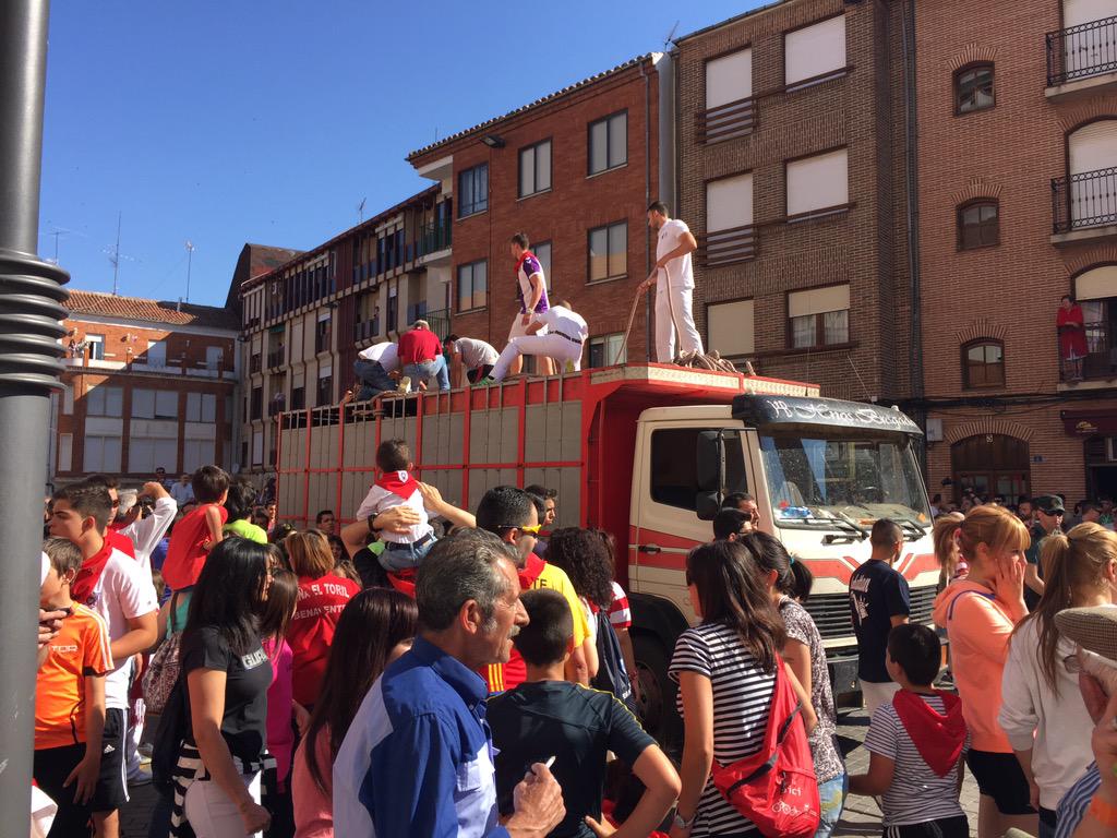carolaainsytu's tweet photo. Pues bien empezamos. #Toro2015 #Benavente http://t.co/uVEImOPuz9