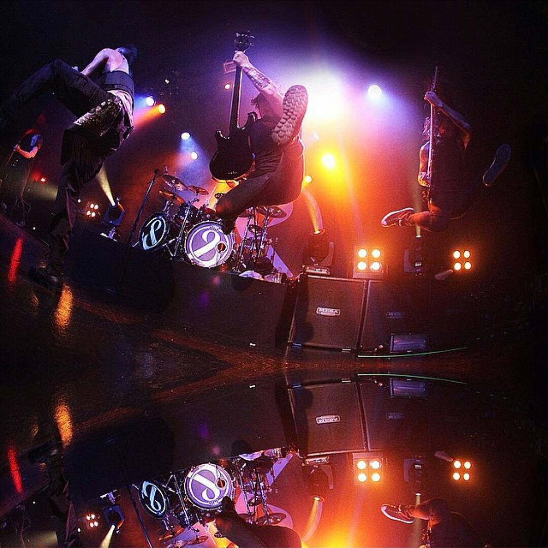 Aaron Pauley tweet media