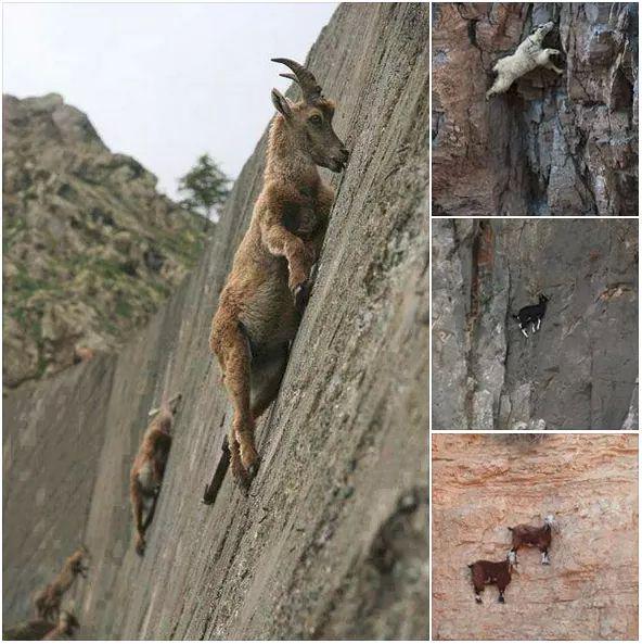 savehuman77's tweet image. ان الله علي ا کل شي ء قدير