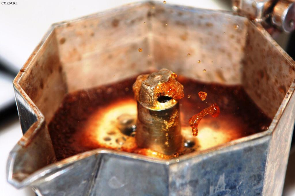 Mr_Tozzo's tweet image. Se anche te non ne puoi più di leggere post sui cookie tranquillo oggi torna la rubrica MONDO BLOG #toxnetlab