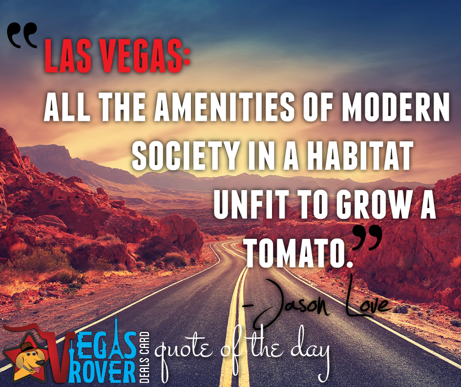 VegasRover's tweet photo. "LAS VEGAS: All the amenities of modern society in a habitat unfit to grow a tomato." @jasonlovetwit #Vegas #Quote http://t.co/WWkaa4RBRc