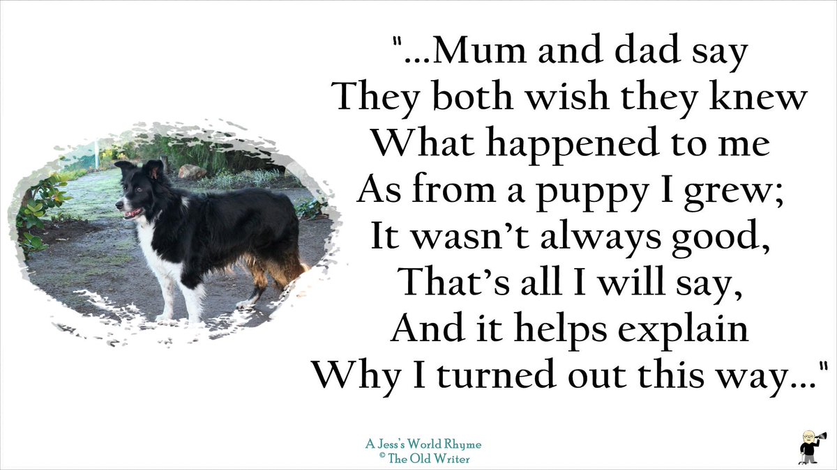 TonyGWriter's tweet image. #dogs #bordercollie

I'm Jess, having an operation today, hope nothing changes!
wp.me/p5TMu1-9i