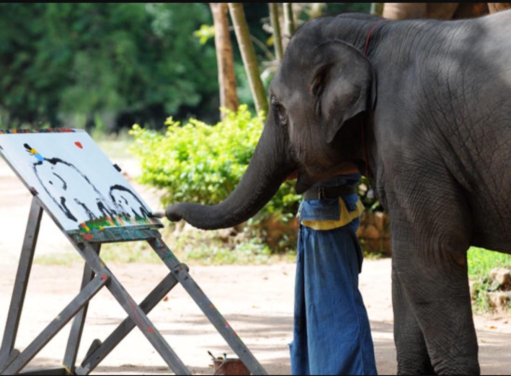 All_Elephants's tweet photo. Elephants are very smart, &amp; good at painting! ☺️🐘 http://t.co/lc8Ja2HilH