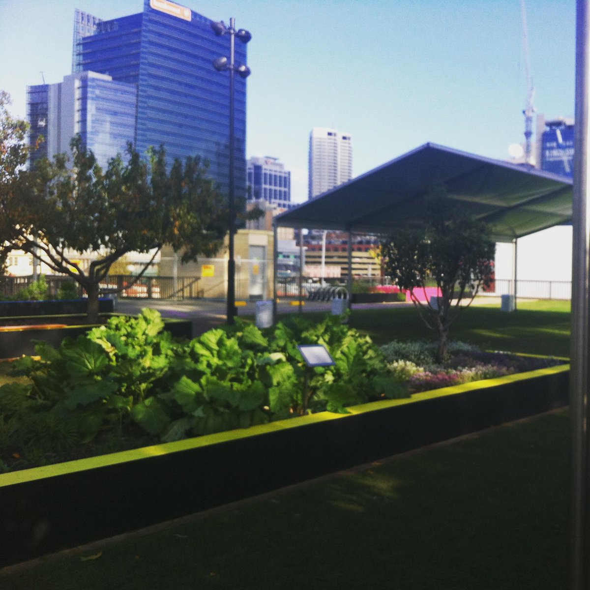 WineAndFoodWA's tweet photo. 2 more sleeps #CityWinePerth #UrbanOrcahrd #PerthCC @VitalPerth http://t.co/Zml4B0Sb4O http://t.co/fjkRxomSci