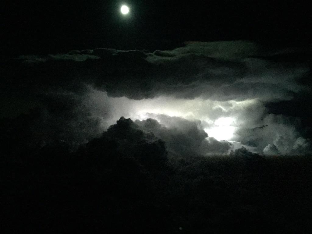 Giovenzana Giuseppe tweet media