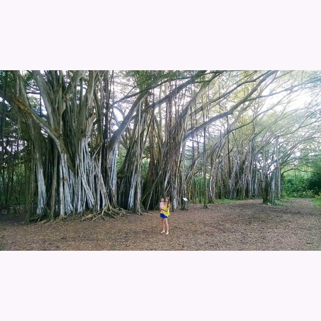 macfrucht's tweet photo. Magical #oahu http://t.co/1Kl7tFz57F