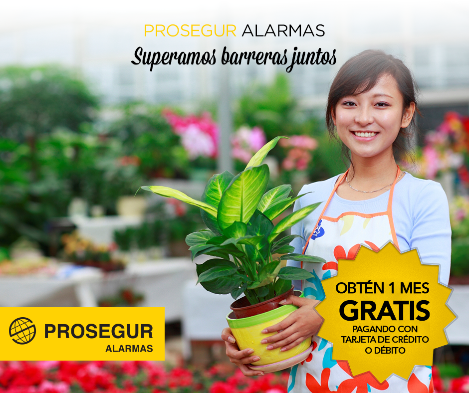 Prosegur_PE's tweet photo. Protege tu negocio con #ProsegurAlarmas
¡Solicitala HOY!
Adquiere tu alarma aquí: http://t.co/f8SkCmh0rc http://t.co/z3a3lTr7QI