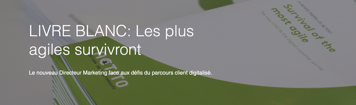 Livre blanc : Le nouveau Directeur Marketing face aux défis du parcours client digitalisé. actito.fr/fr/read/livre-…