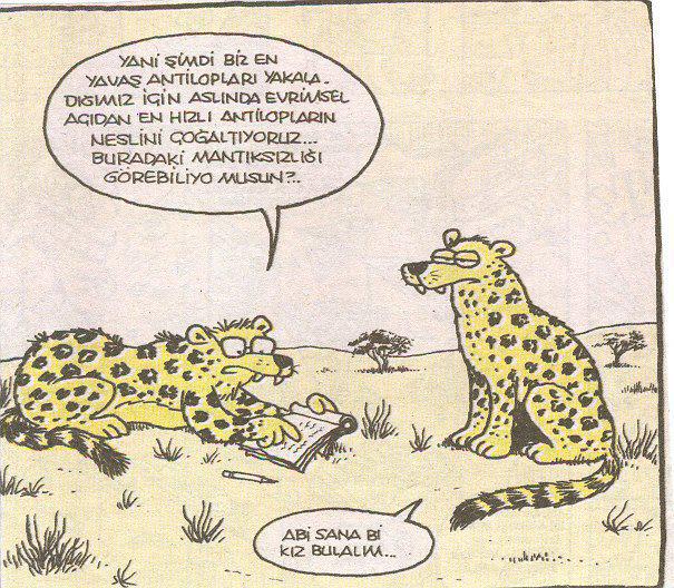 CGkAkxjUYAAU2pg.jpg