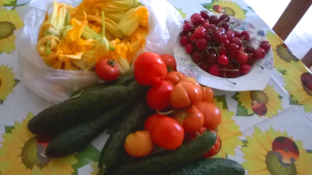 fitnex_'s tweet photo. Inizia la bella #stagione? #insalata fresca e #ciliegie! http://t.co/FQP5AnP5R3