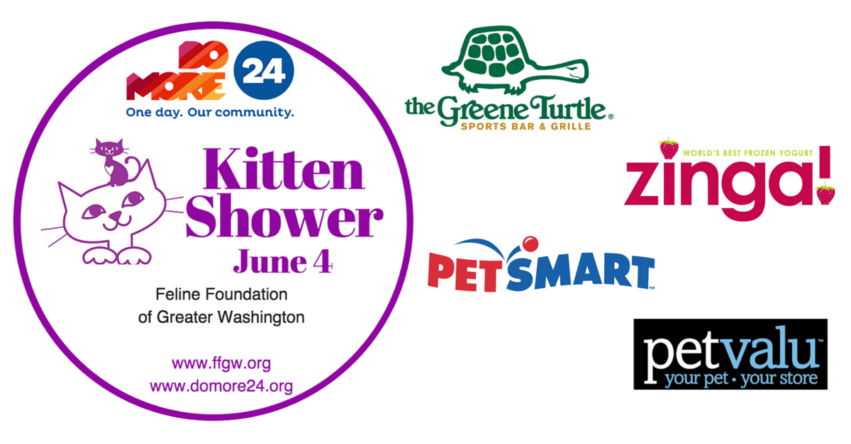 omdirect's tweet photo. Are you ready to #domore24 to save kittens? Head to http://t.co/9upUtBn3U0 for details about parties &amp; prizes http://t.co/YdkIbhLdqP
