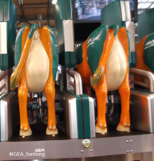 GEA_farming's tweet image. Big day setting up #DairyProQ 
for #RoyalCornwallShow
Make sure you see it in action Stand 523
tinyurl.com/pk2lpu3