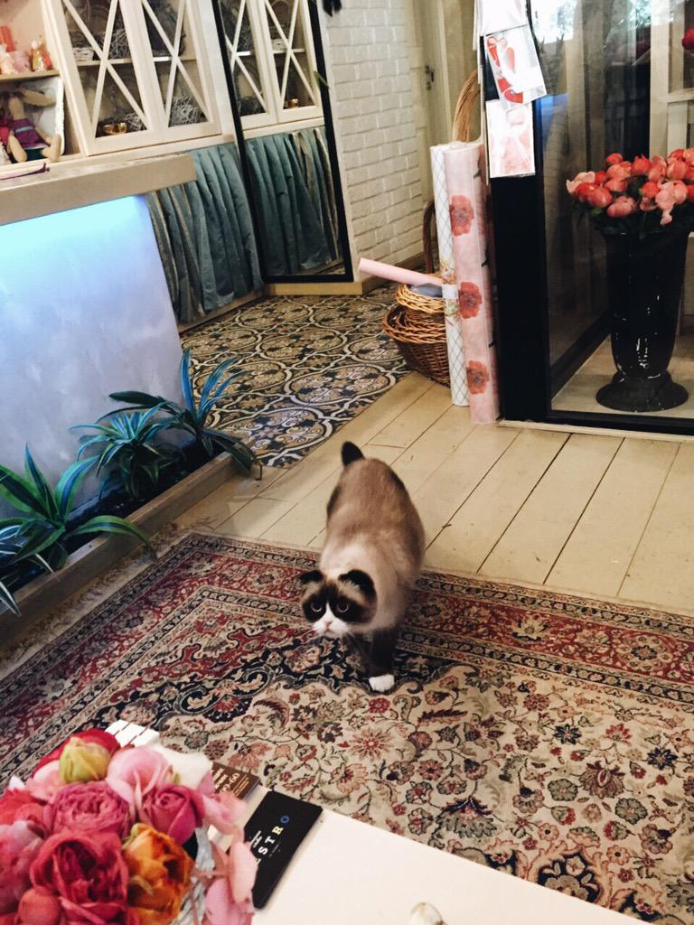 alice_kuz's tweet photo. Милашество какое-то😻В этот магазинчик хочется заходить снова и снова!🌺🌷🌹 #pestro http://t.co/NBZ8ofH1DQ