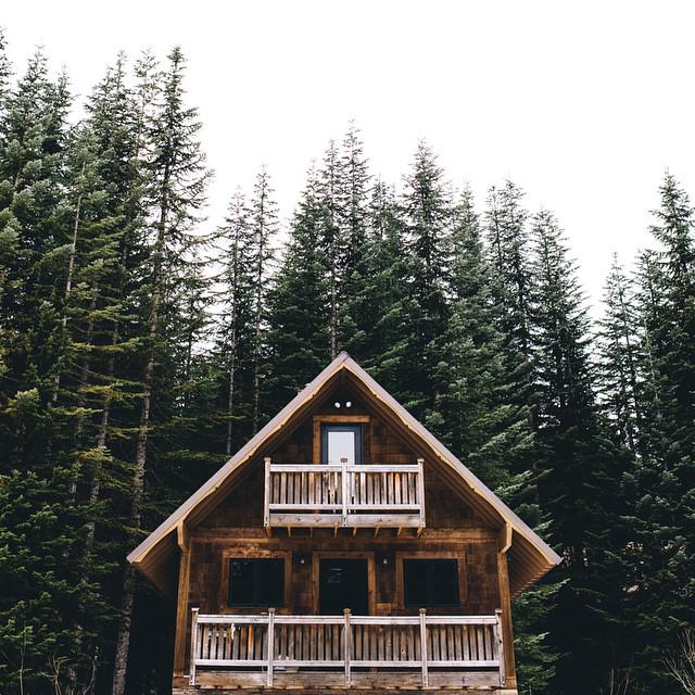 CampingFanClub's tweet image. 