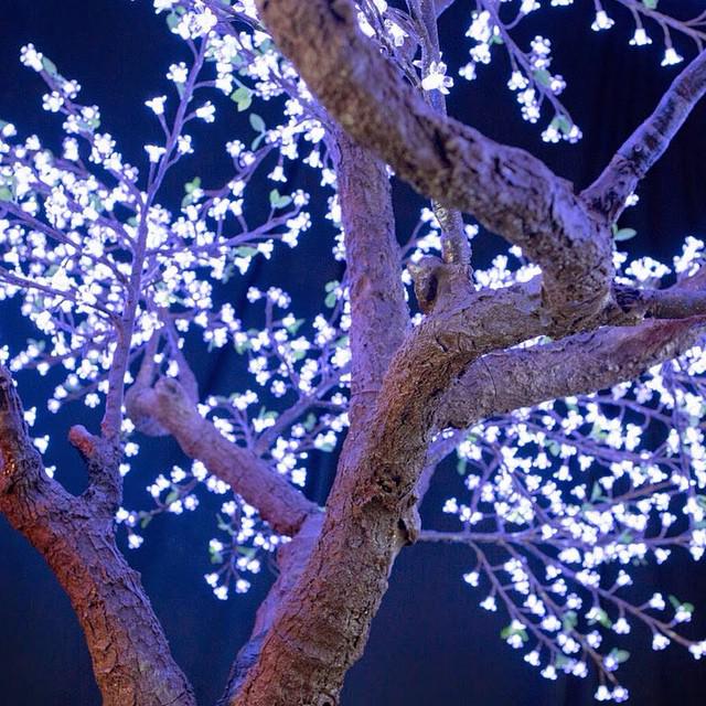 BrightBaum's tweet image. Have you ever seen anything lovelier than a Bright Baum tree? #brightbaum #tree #ledtree