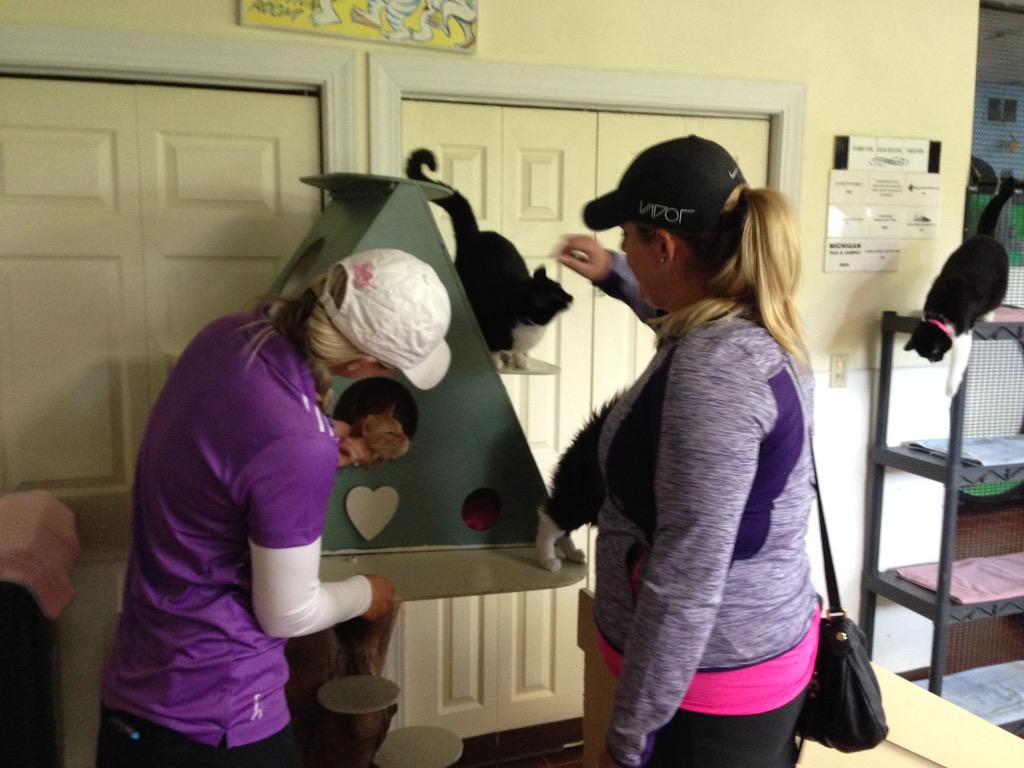 EpsonTour's tweet photo. #symetratour pros visiting Humane Society of South Central Michigan for @FireKeepers @FKCHChamp in @BattleCreekCity. http://t.co/E5dgrOWWUt